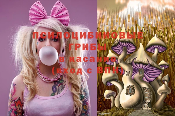 стаф Алексин