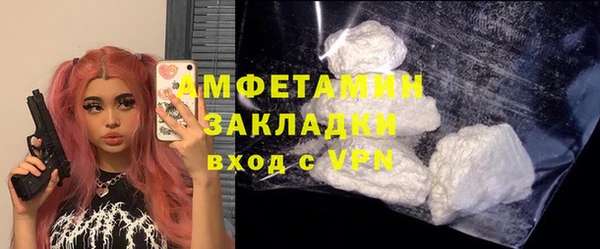 стаф Алексин